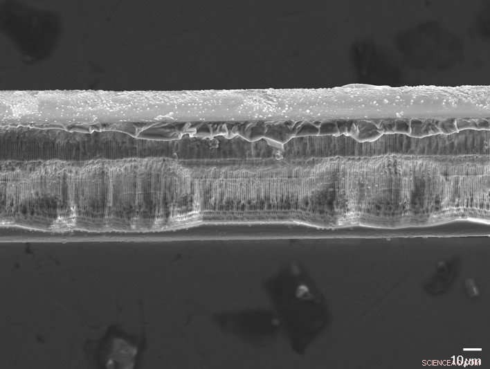Scientists Develop Biodegradable Fiber-Optic Sensors for Safe In‑Body Monitoring