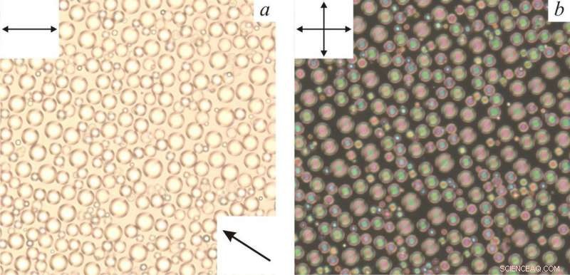 Researchers Uncover and Analyze Complex Defect Structures in Liquid Crystal Droplets