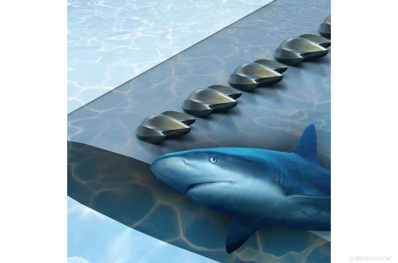 Shark Skin Scales Revolutionize Aerodynamics for Drones, Planes & Wind Turbines