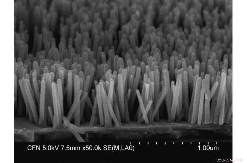 Atomic Defects Drive Unexpectedly High-Efficiency UV LED Materials