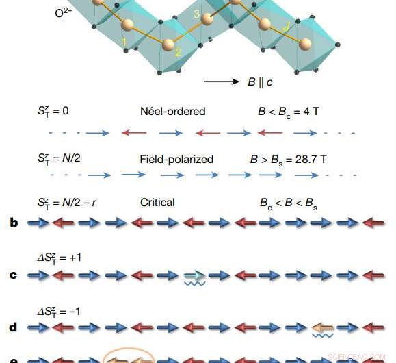 First Experimental Observation of Bethe Strings in a Quantum Spin Chain