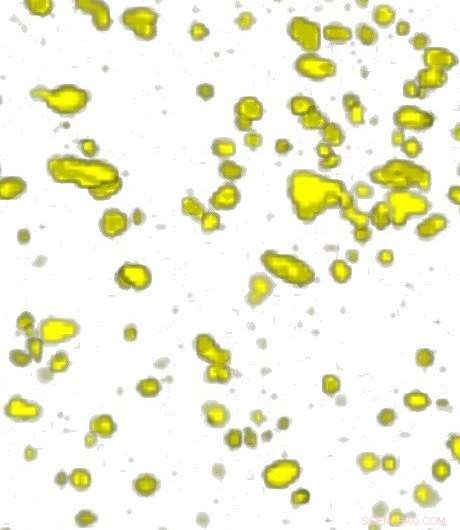 How Tiny Bubbles Shape Noodle Texture: A First Look