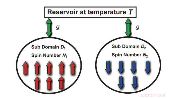 Collective Spin Dynamics in Dual-Domain Systems: Achieving Negative-Temperature Equilibrium