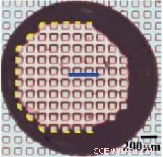 Harnessing Wetting on Micro‑Textured Surfaces for Advanced Functionalities