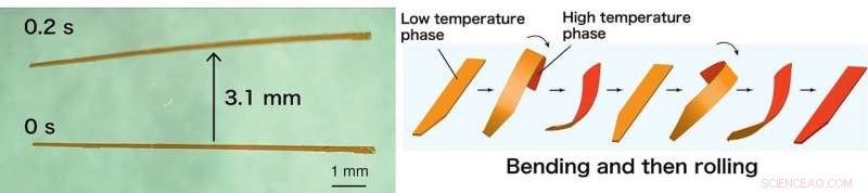 Microscopic Crystals Demonstrate Walking Motion, Paving the Way for Crystal Robotics