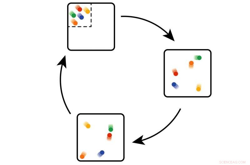 Exploring Recurrence Phenomena in Isolated Quantum Many-Body Systems