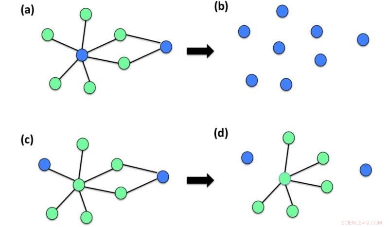 New Mathematical Model Highlights Risk of Abrupt Network Collapse