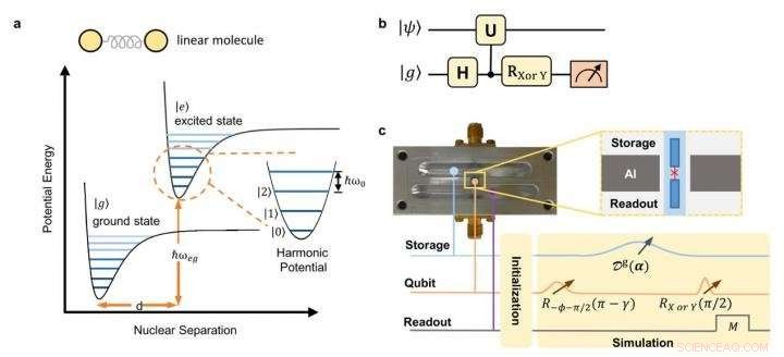 Quantum Simulation of Molecular Spectroscopy Using Circuit QED