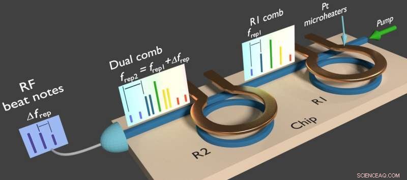Single-Chip Silicon Laser Generates Dual Frequency Combs for Rapid Molecular Spectroscopy