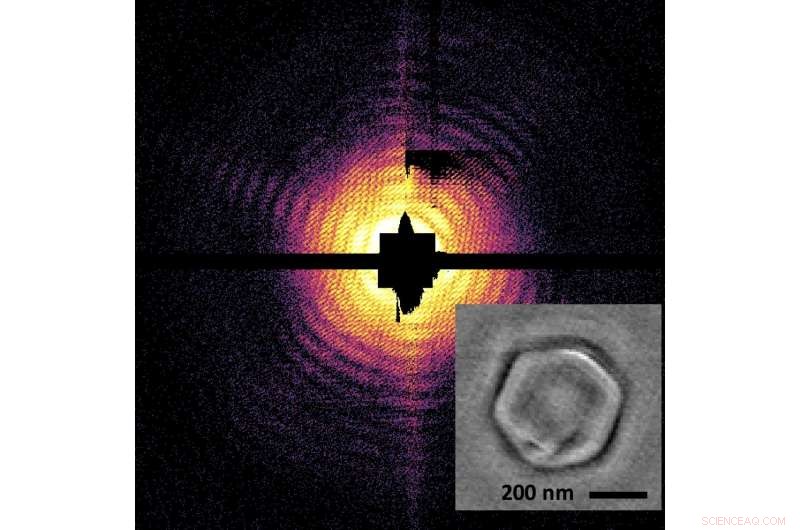 First X‑ray Holographic Images of Viruses Captured with Laser Light