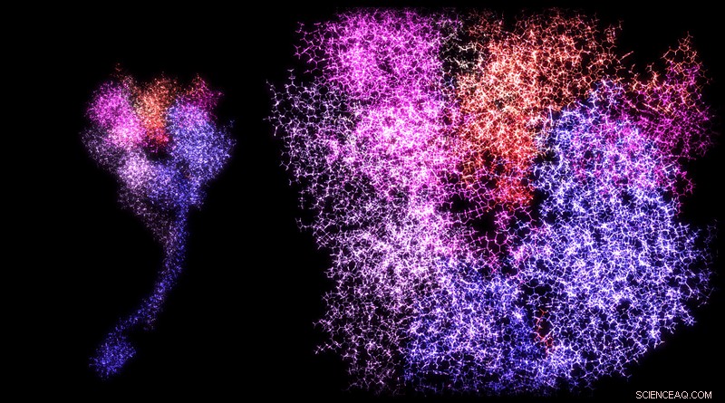 Unveiling Life’s Blueprint: Computer Modeling of Protein Tensegrity Structures