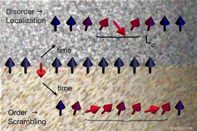New Breakthrough Reveals How Quantum Information Is Transferred