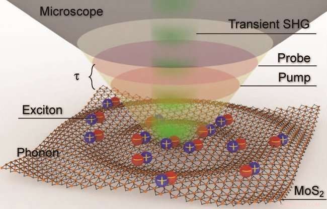 Visualizing Atomic Motion: High-Resolution Optical Microscopy Reveals Sound-Induced Movements