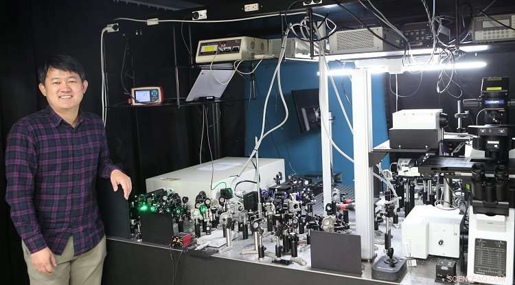 Visualizing Atomic Motion: High-Resolution Optical Microscopy Reveals Sound-Induced Movements