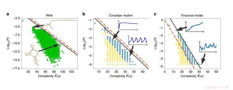 Why Simple Models Often Prevail: Evidence from RNA, Circadian Rhythms, and Finance