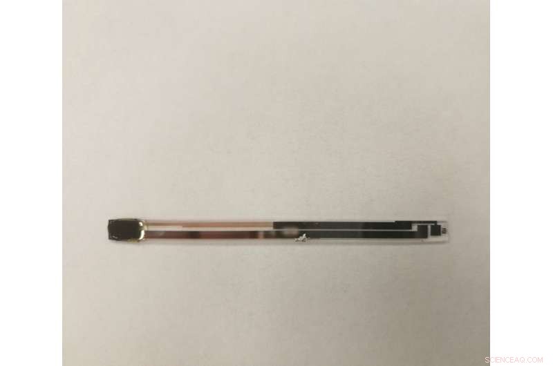 Harnessing Quantum Magnetic Waves: Advancing Next-Generation Electronics