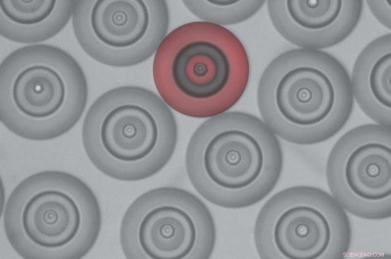 Physicists Master Liquid Droplet Arrangement, Paving the Way for Advanced Drug Development