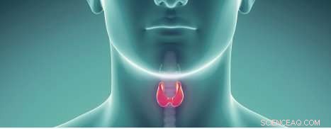 New Optical Modules Promise Enhanced Thyroid Cancer Screening