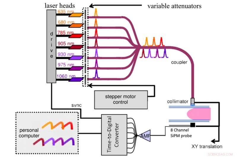 Optical Mammography: Detecting Breast Cancer with Pulsed Red Light