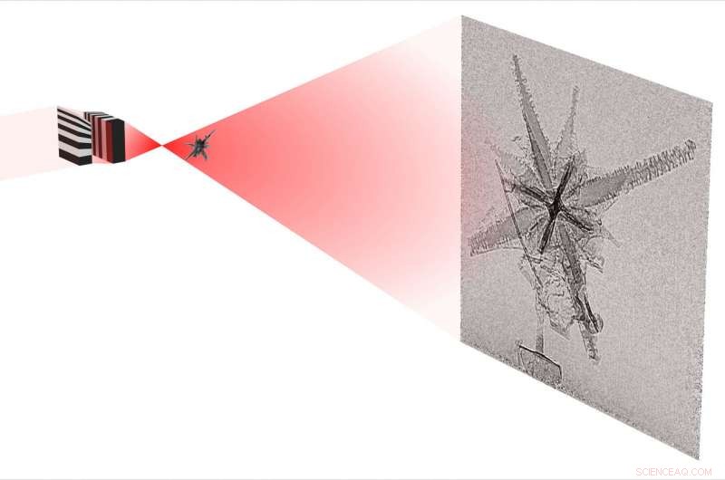 Enhancing X‑ray Imaging of the Nanocosm: Unveiling Marine Plankton at Micrometer Scale