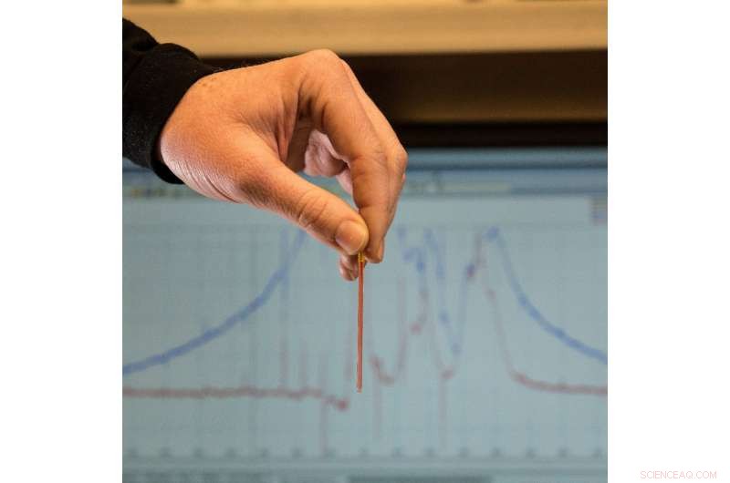 NIST Introduces Advanced Traceable Magnetic Resonance Measurements Inside the Human Body