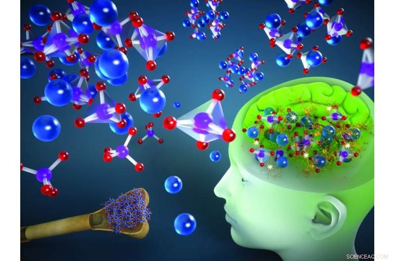 Could the Human Brain Function as a Quantum Computer? Global Study to Explore Neural Quantum Computation