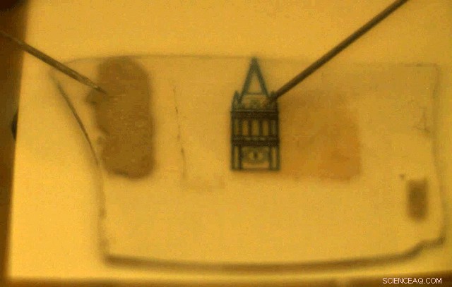 UC Berkeley Engineers Develop Atomically Thin LED for Invisible Display Applications