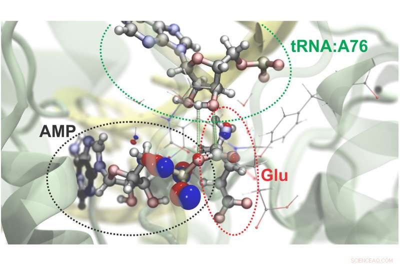 Revolutionizing Molecular Insight: Subatomic Resolution in Computational Microscopy