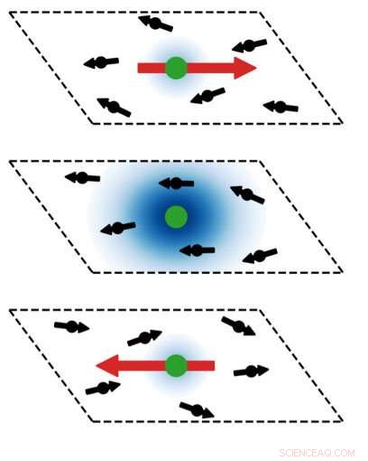 Unveiling Self-Assembling, Tunable Interfaces in Quantum Materials