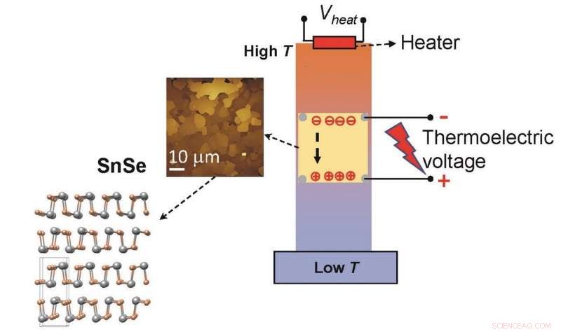 Unveiling Tin Selenide Nanostructures: A Breakthrough in Thermoelectric Performance