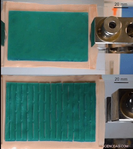 Kirigami Design Enhances Bandage Adhesion and Durability