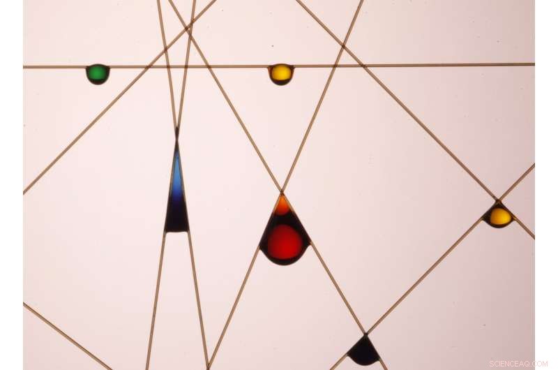 Why Bent Fibers Hold More Water: The Science Behind It