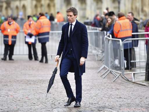 Cambridge Mourns Stephen Hawking: Hundreds Gather in Tribute