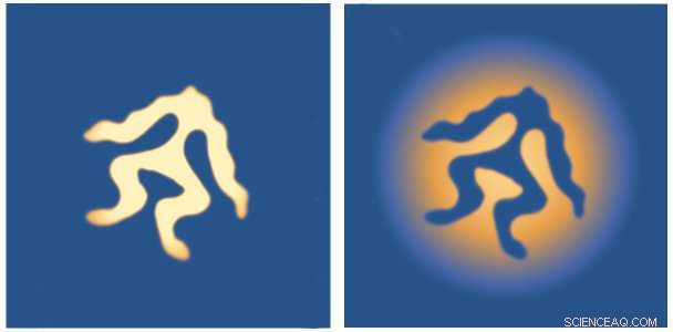 Unique Mushroom and Frog‑Shaped Structures Emerge in Quantum Fluid Simulations