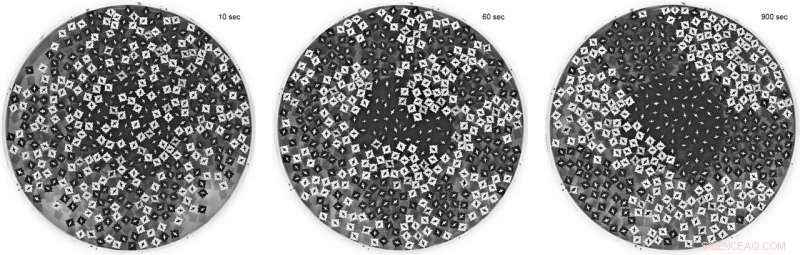 Physicists Reveal Demixing of Rotating Particles in Macroscopic Systems