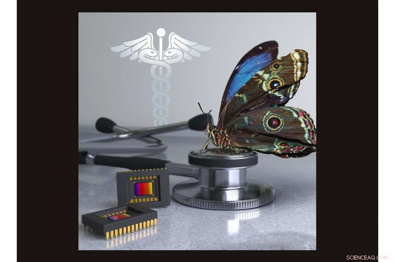 Butterfly‑Inspired Camera Enhances Image‑Guided Cancer Surgery