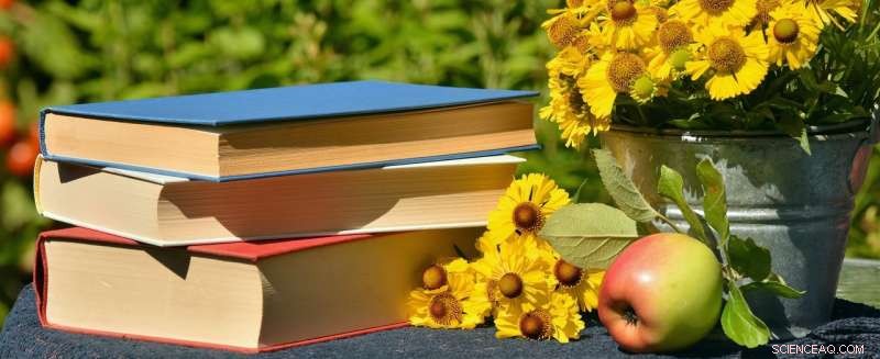 Why Fiction Thrillers Released for Christmas Soar to Best‑Seller Status