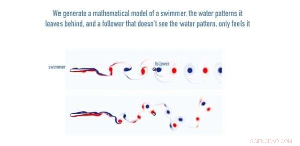 Harnessing Biological Insights: Replicating Nature s Water-Pattern Decoding for Innovative Technologies