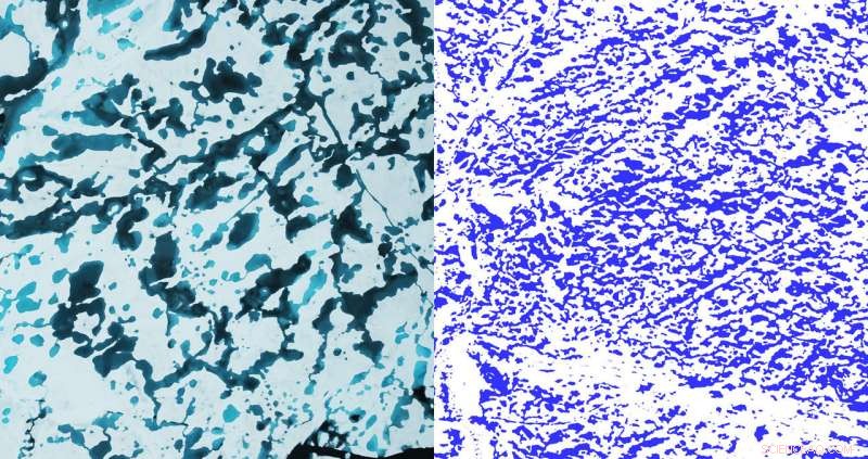 New Method Enhances Accuracy of Melt Pond Mapping on Arctic Sea Ice