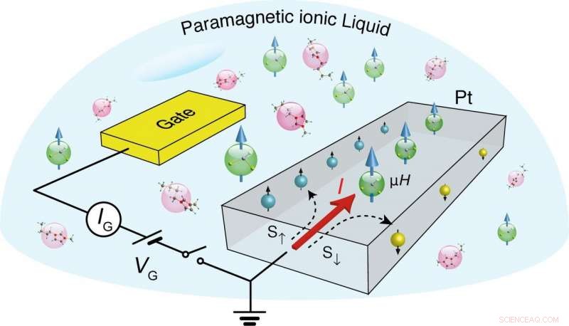 Scientists Generate 2-D Platinum Magnet Using Electric Field