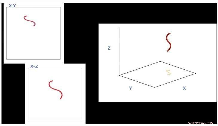 Scientists Decode 3‑D Locomotion of the Nematode C. elegans