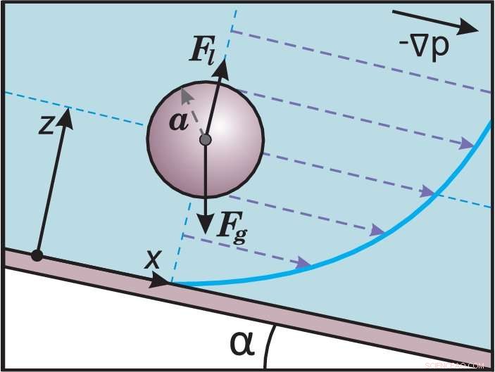 New Theoretical Insights into Inertial Lift Forces Driving Particle Migration in Microchannels