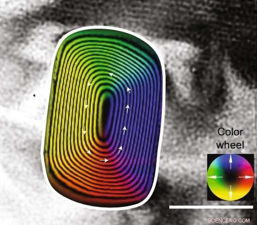 Scientists Uncover Solar System s Oldest Magnetic Record in Meteorite