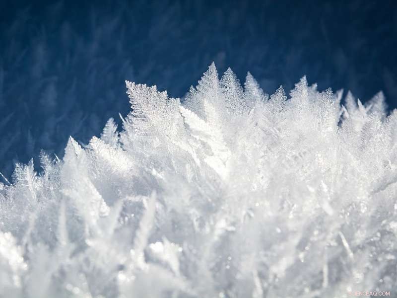 Decoding Ice: New Insights into Ice II from UCL and ISIS Research