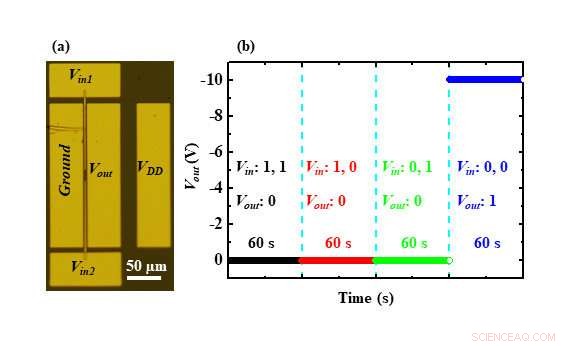 Diamond‑Based Circuits: Superior Heat Resistance for Next‑Generation Applications