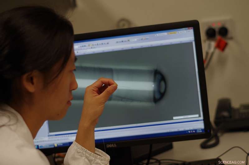 Tiny Fibre‑Optic Probe Simultaneously Measures Temperature and Images Inside the Body