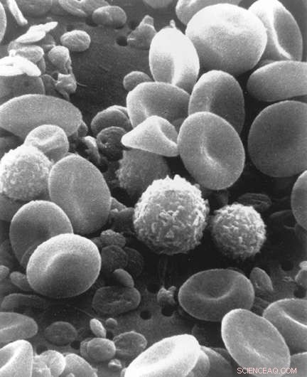 Revolutionary X‑ray Microscope Cuts Radiation Dose by 1,000‑fold