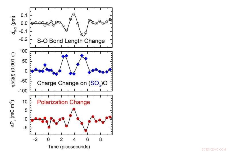 How Atomic Vibrations Toggle Crystal Electric Polarization