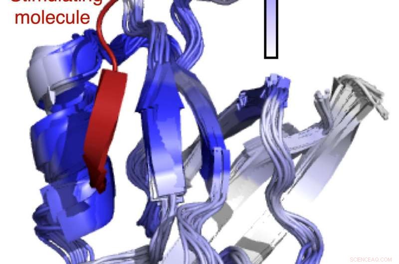 Machine Learning Uncovers Causal Links in Protein Dynamics Data
