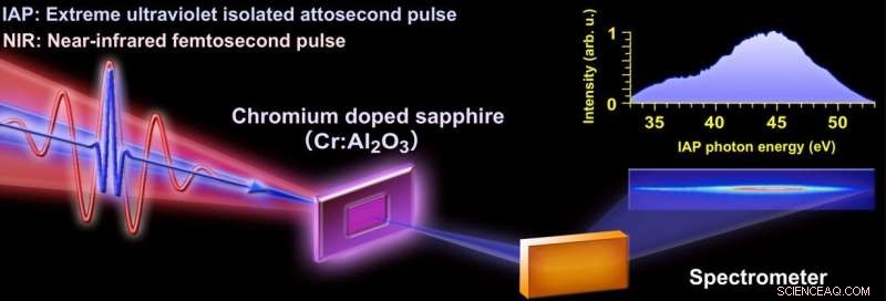Capturing Ultrafast Electron Oscillations and Dephasing with Attosecond Light Sources